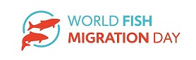 WFMD_logo_2020